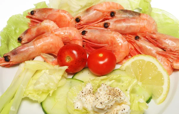 Prawn salad — Stock Photo, Image