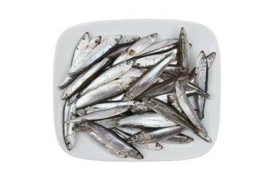 Whitebait bir plaka üzerinde