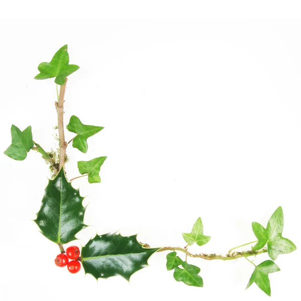 Holly and ivy frame — Stock Photo, Image