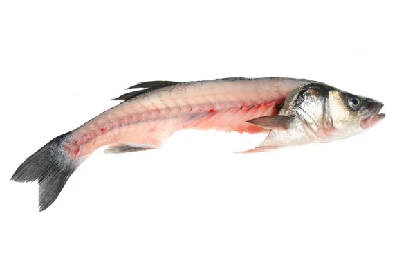 Filleted fish — Stock Photo, Image