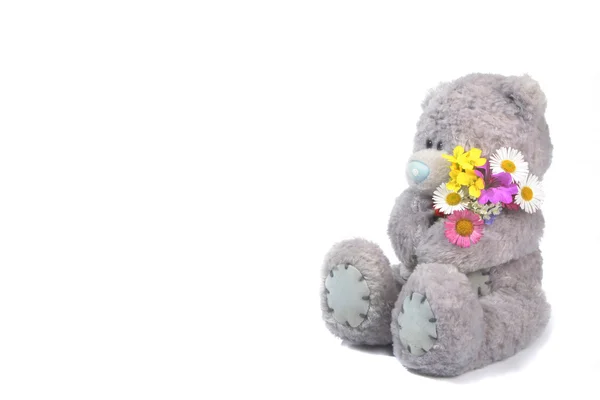 Teddy with flowers — Stock Photo, Image