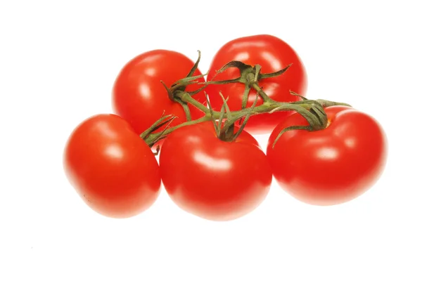 Grandes tomates de vigne — Photo