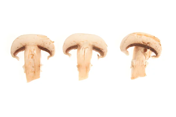 Mushroom segmenten — Stockfoto