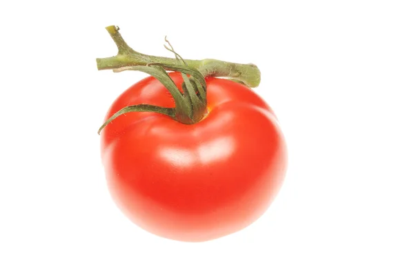 Single vine tomato — Stock Photo, Image