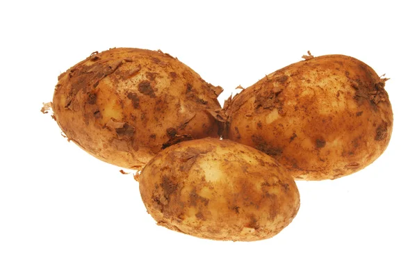 Três batatas novas — Fotografia de Stock