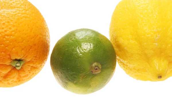 Citrus fruit close up — Stock Photo, Image
