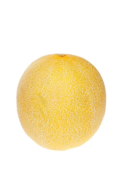 Seluruh melon — Stok Foto