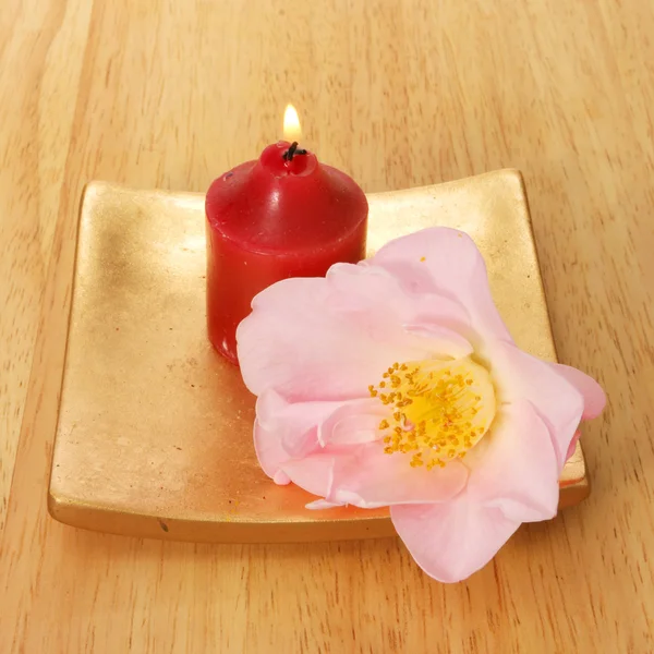 Red candle and Camellia — Zdjęcie stockowe