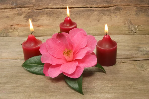 Three candles and camellia — Zdjęcie stockowe