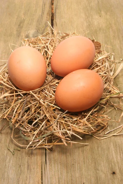 Eggs on straw — Stock Photo, Image