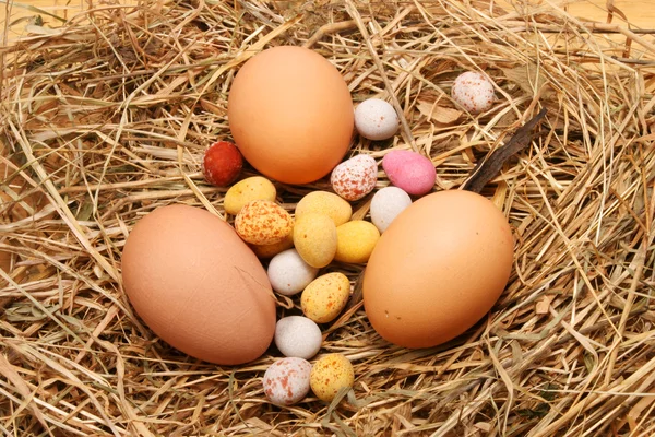Mixed eggs on straw — Stock Photo, Image