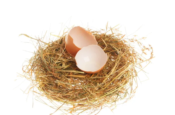 Одно разбитое яйцо в гнезде — стоковое фото