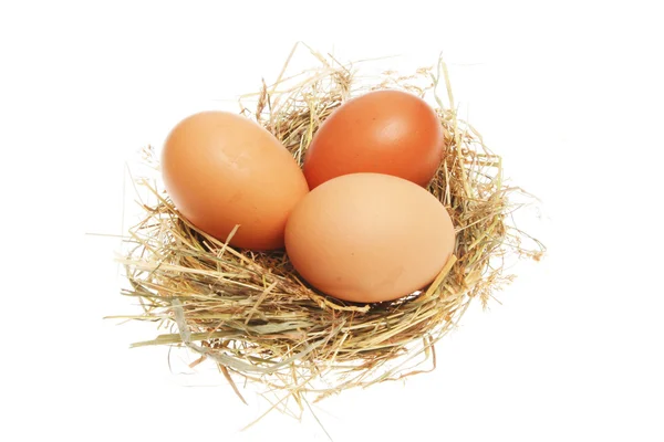 Chicken eggs in nest — Stock Photo, Image