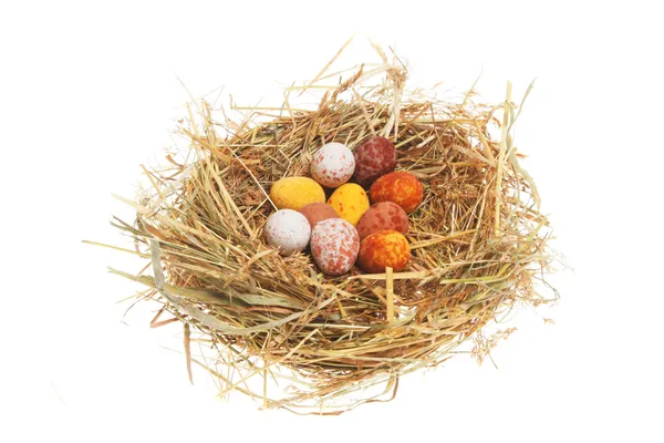 Eggs in nest — Stock Photo, Image