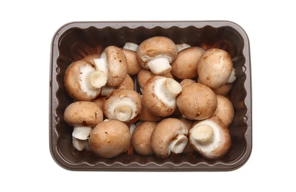 Chestnut mushrooms — Stock Photo, Image