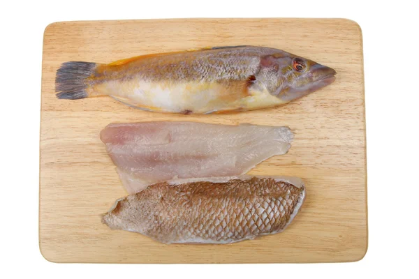 Whole wrasse and fillets — Stock Photo, Image