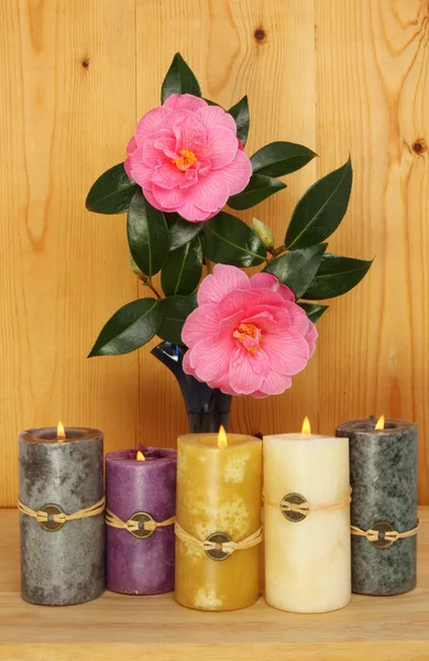 Camelia's en kaarsen — Stockfoto