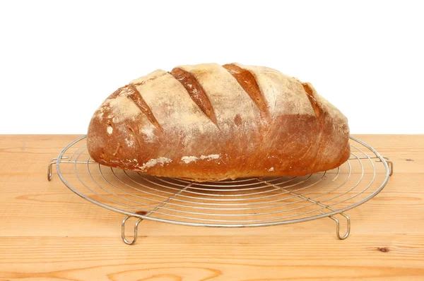 Fresh bloomer loaf — Stock Photo, Image