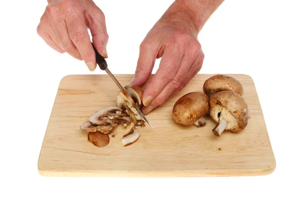 Режущие грибы — стоковое фото