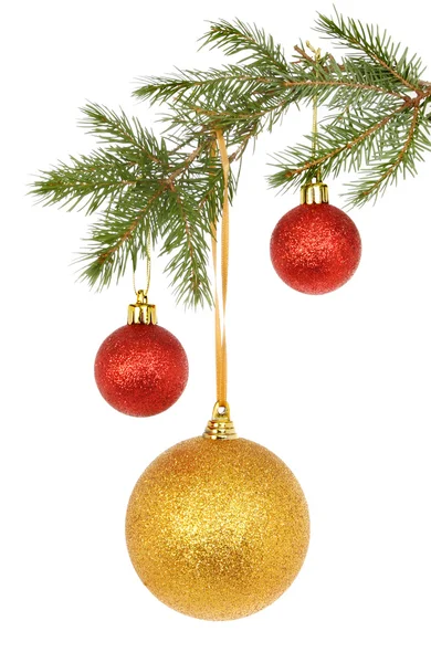 Baubles in tree — Stock Photo, Image