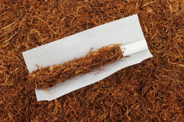 Rolling tobacco — Stock Photo, Image