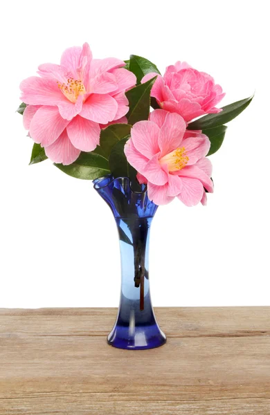 Camellia flowers in glass vase — Stock Photo, Image