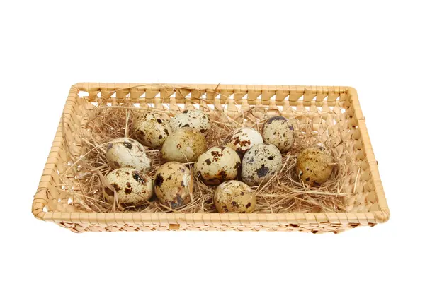 Quail eggs in basket — Stock Photo, Image