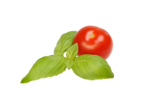 Basilikum und Tomaten — Stockfoto