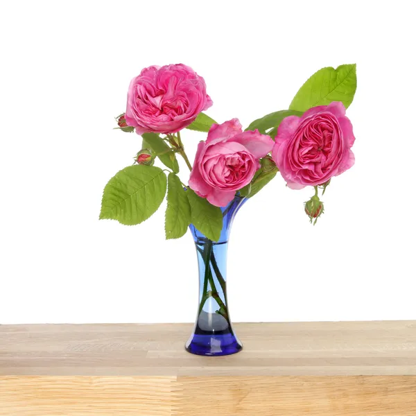 꽃병에 자홍색 장미 — 스톡 사진