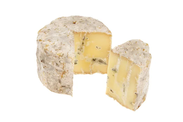Peynir yuvarlak — Stok fotoğraf