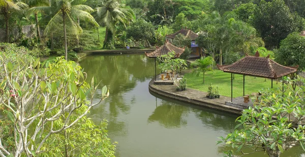 在巴厘岛花园 — 图库照片