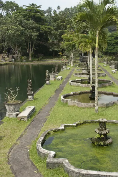 Trädgård i bali — Stockfoto