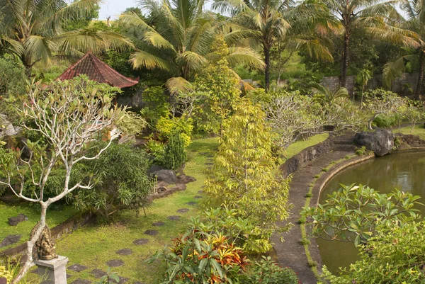 Tuin in bali — Stockfoto