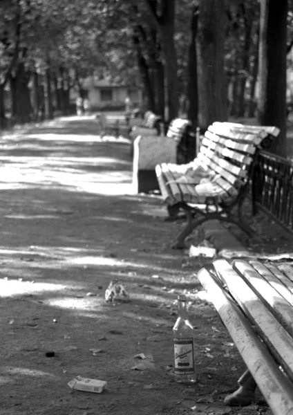 公園内の路地 — ストック写真