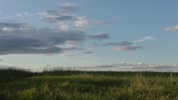 Campo verde y cielo azul — Vídeo de stock