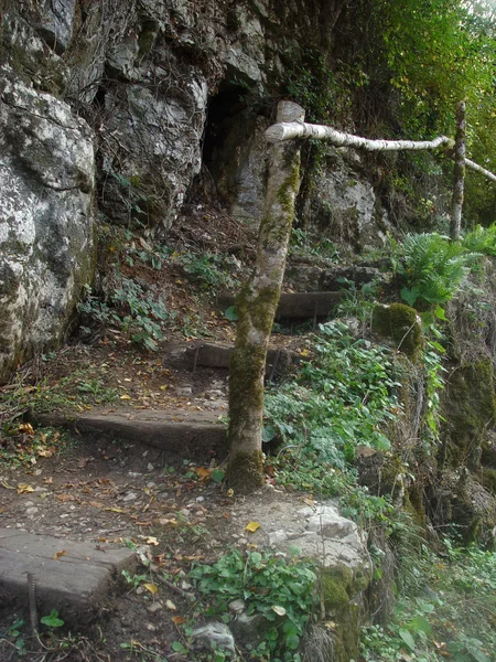 Castle civarındaki provence