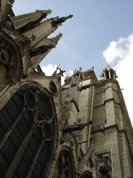 Собор в Парижі — стокове фото
