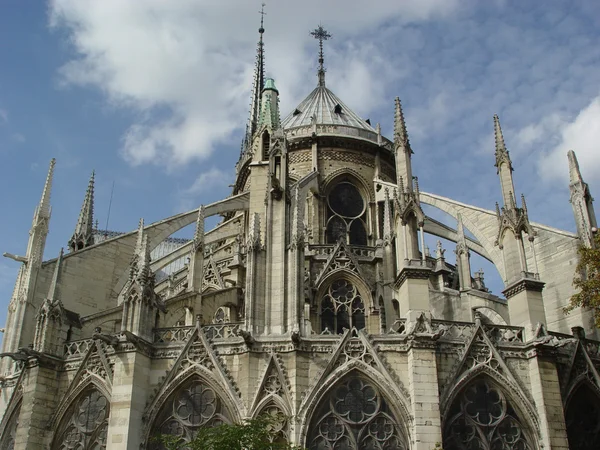 Собор в Парижі — стокове фото