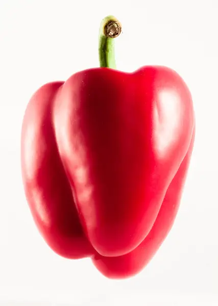 Rode peper geïsoleerd op een witte achtergrond — Stockfoto