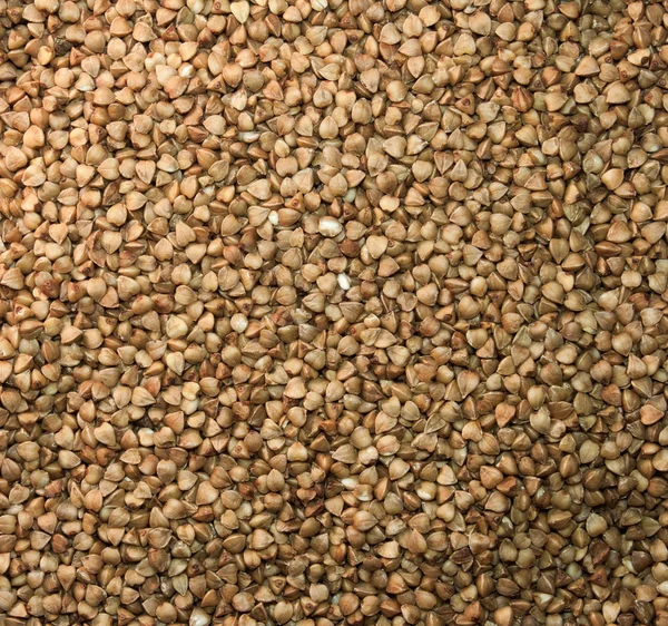 A lot of buckwheat — Stock Photo, Image