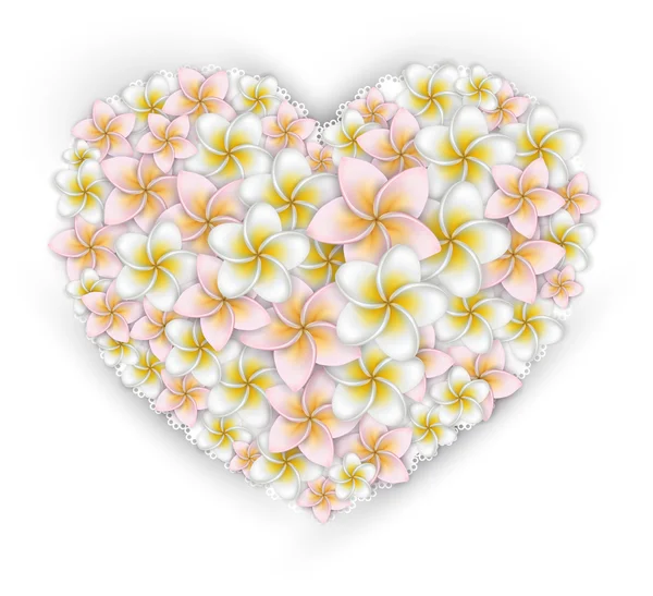 Plumeria fleurs coeur carte cadeau . — Image vectorielle