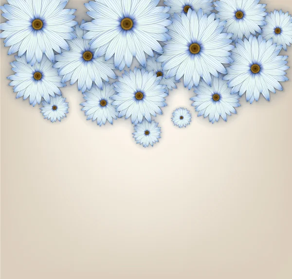 Campo de flores de margarita azul . — Vector de stock
