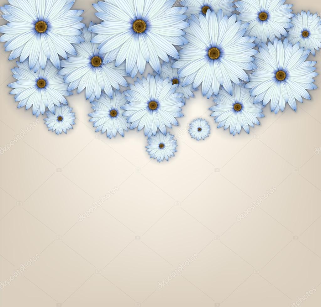 Field of blue daisy flowers.