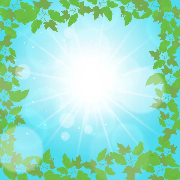 Summer background. edge of the leaf — Stock Vector