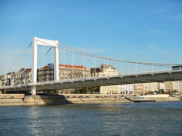 Drottning elizabeth bridge — Stockfoto