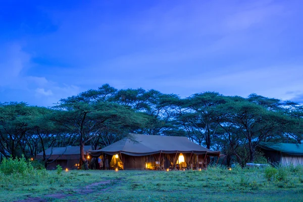 A Safari Campsite — Stock Photo, Image