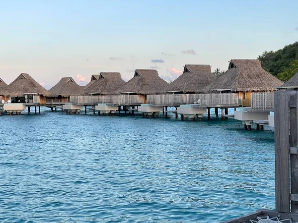 Palm Trees Beech Overlooking Overwater Bungalows — Photo