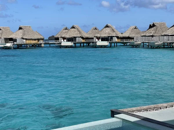 Palm Trees Beech Overlooking Overwater Bungalows — Stok fotoğraf