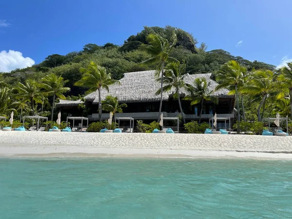 Palm Trees Beech Overlooking Overwater Bungalows — ストック写真