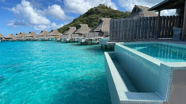 Palm Trees Beech Overlooking Overwater Bungalows — Stok fotoğraf